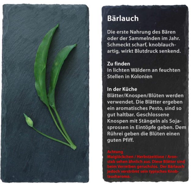 Bärlauch