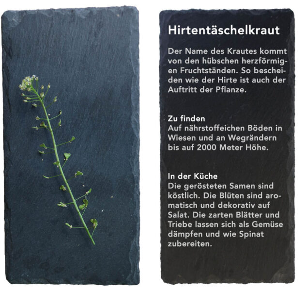 Hirtentäschel