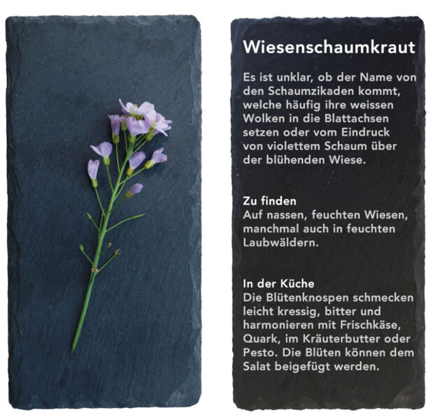 Wiesenschaum